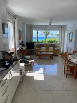 Kitchen / lounge view
